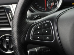 MERCEDES BENZ GLE 250D