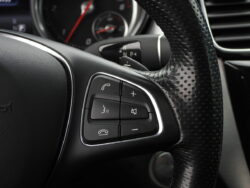 MERCEDES BENZ GLE 250D